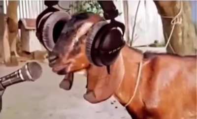Lil g.o.a.t
