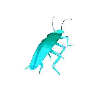 Look at him dance