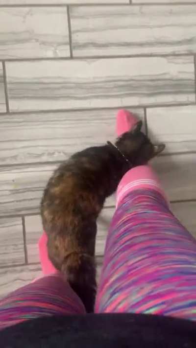 This is the only way I&rsquo;m allowed to walk around my house