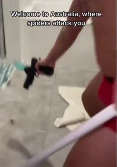 Thanks, I hate Australian spiders