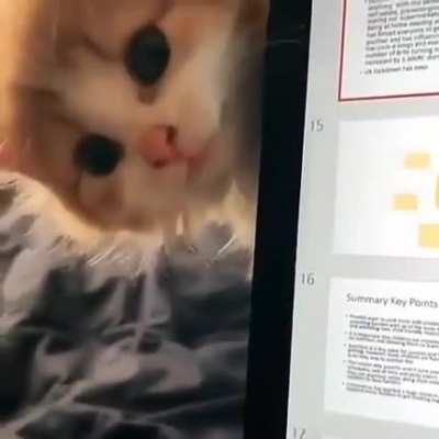 &amp;lt;3!