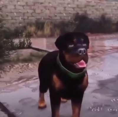 xd