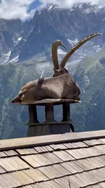 🔥Majestic view