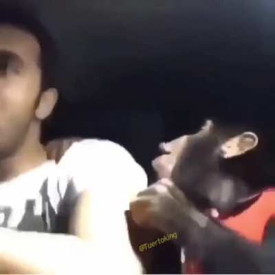 Orslokx y el usuario promedio del chat