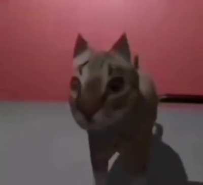 Deutsche Katze