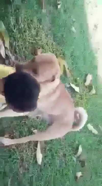eu te amo caramel