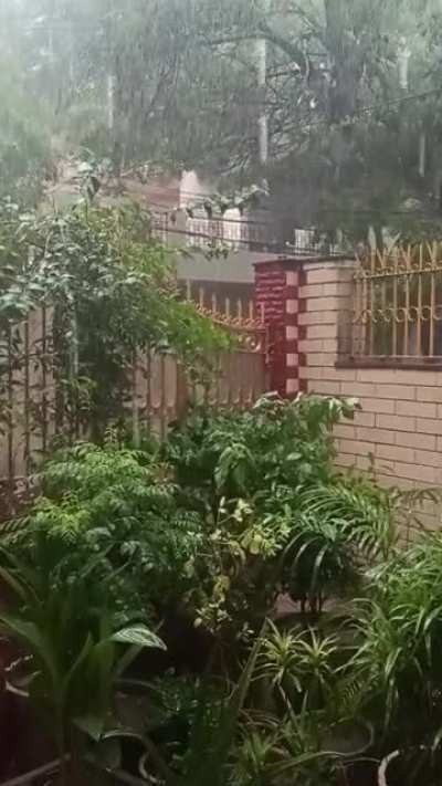 I danced in the rain today! New Delhi, India