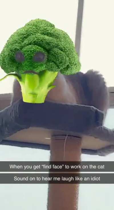 r/ContagiousLaughter pointed me this way. I turned Sashi into broccoli and couldn&rsquo;t control myself.