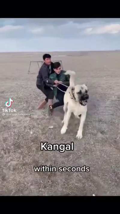 😀