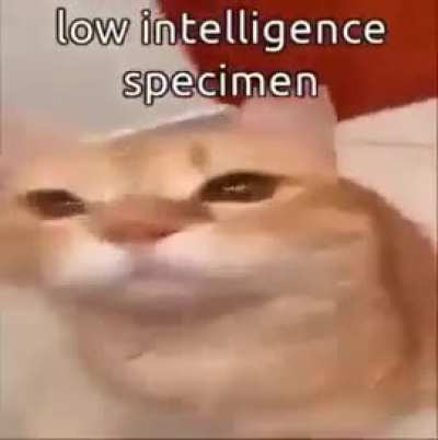 A scrunkly scrimblo