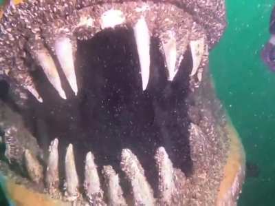 As if the ocean doesn&rsquo;t have enough creepy fish in it.