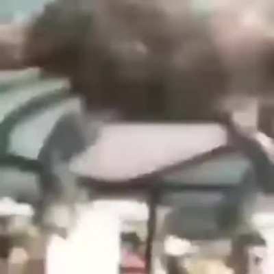 Um video mas increible do mundo