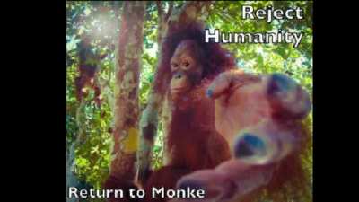 reject_return
