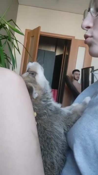 Husky Puppy Learns to Howl
