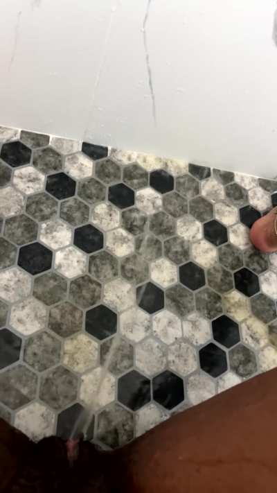 spraying in the shower