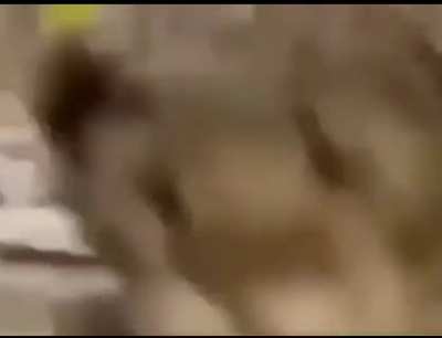 HUEstation - Video #0791