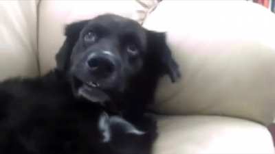 Waking up from a nightmare