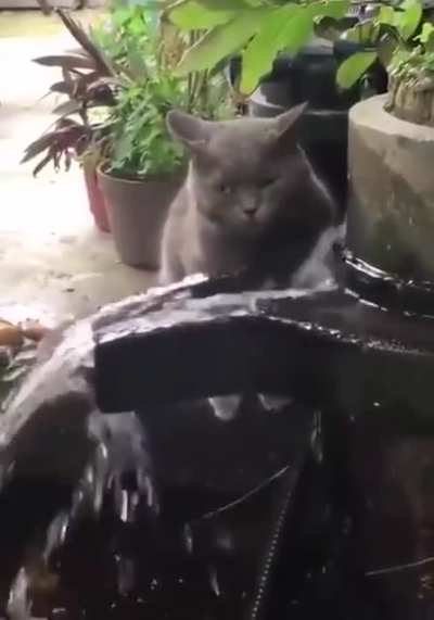 Meditation