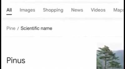 The genus is&hellip;..