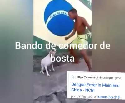 Justi&ccedil;a caralho