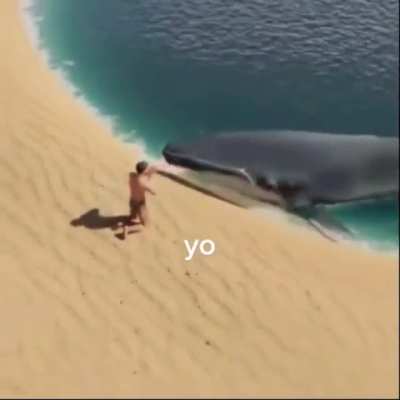 ?