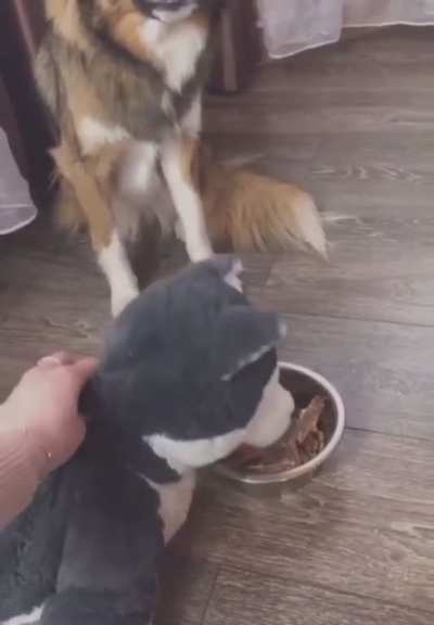 What&rsquo;s in this food?