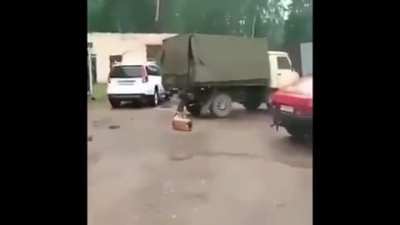 The dog had a "popping" good time (the dog is fine btw)