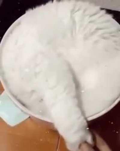 This bowel of "flour"