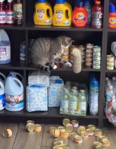 Quality control