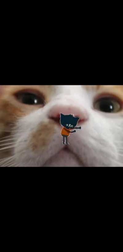 IDK why my GF make this but I felt like it needed to be shared here