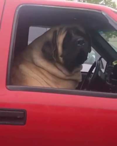 Chillin in his truck