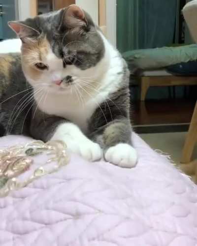 Get out of my face