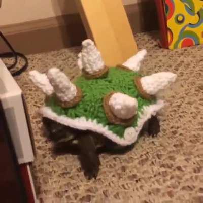 Real life Bowser.