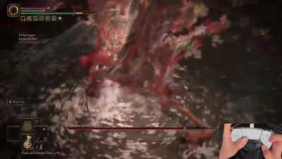 Improved technique: Malenia solo, but I can only use each weapon once