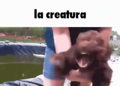 la creatura