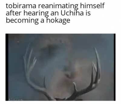 Look put sarada