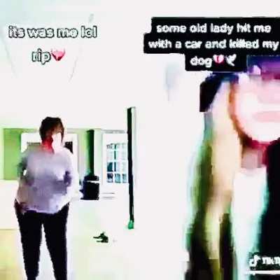 🦮🚗🪦