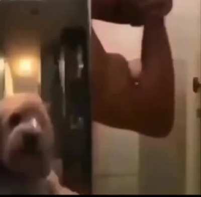 Does this count?