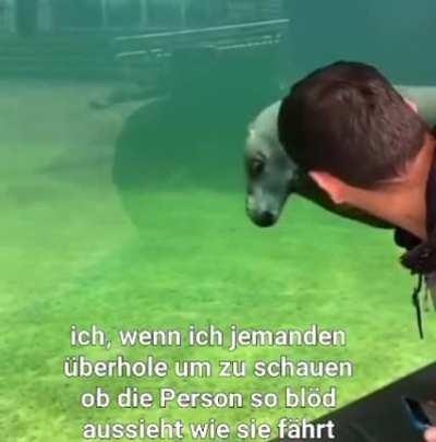 ich👀iel