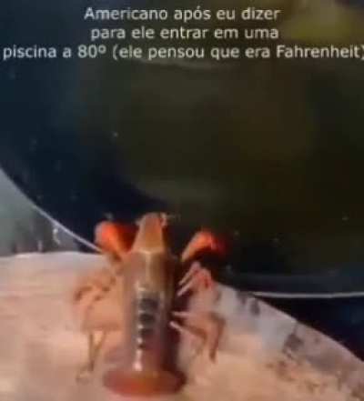 Americano tem que usar medidas superiores ao resto do mundo