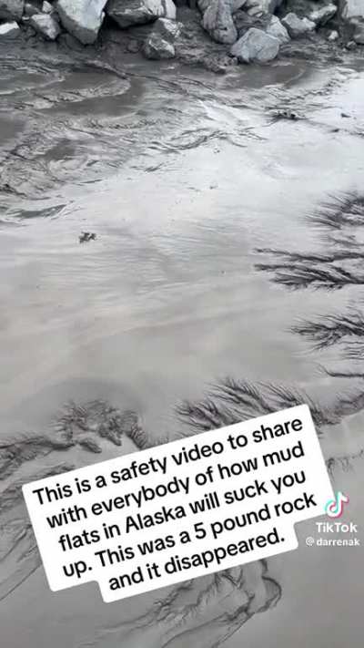 â ï¸warning: mudflats