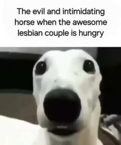 How hungry?