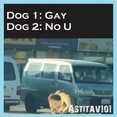Found in old 9gag folder