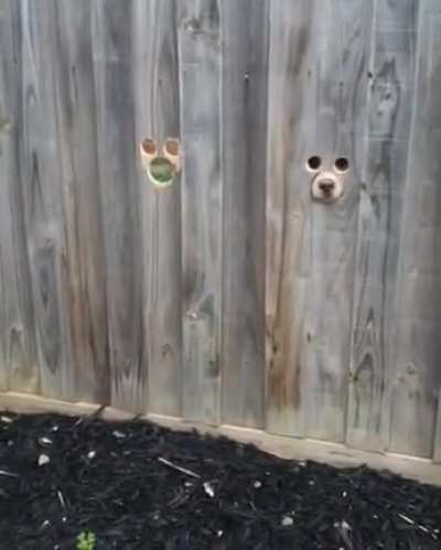 Hello.