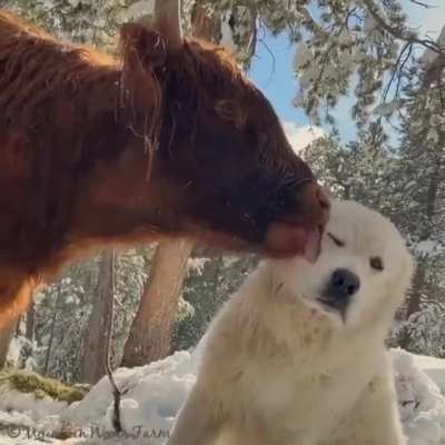 That&acute;s a friendship
