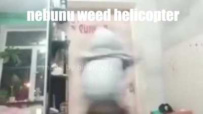 nebunu weed se transforma in helicopter !1!!1!!1!!1!1