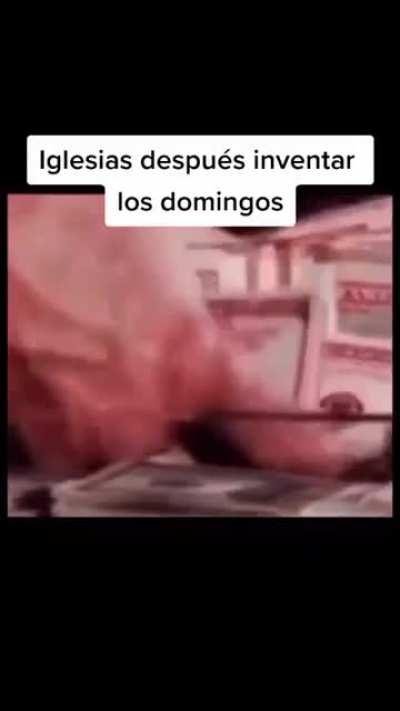 Moni 🤑