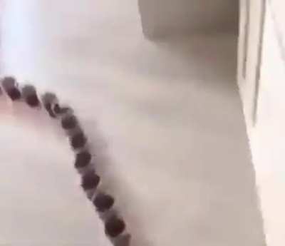 esT&Egrave; video me hizo mal viajar.AYUDAAA