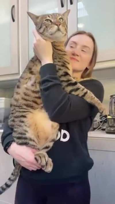 Here is the size