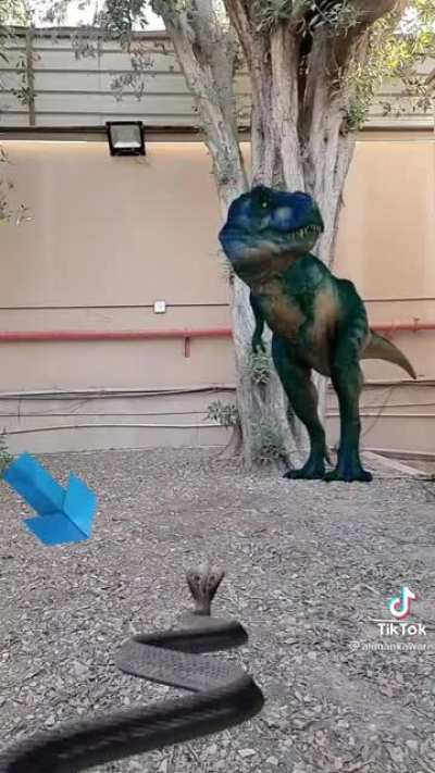 Why